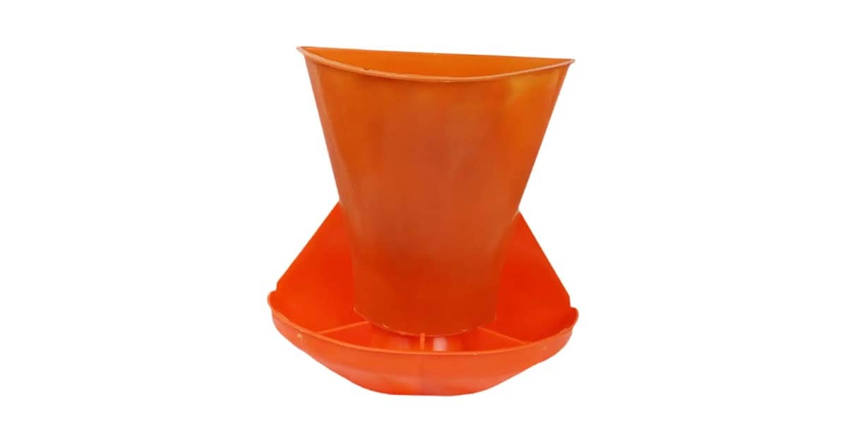 Qual é o Melhor Comedouro para Porco? 5 Modelos