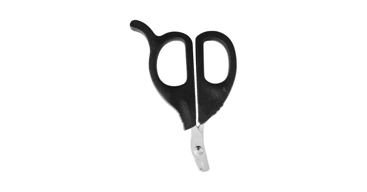 Qual É o Melhor Cortador de Unha Para Gato? Guia Para um Corte Seguro