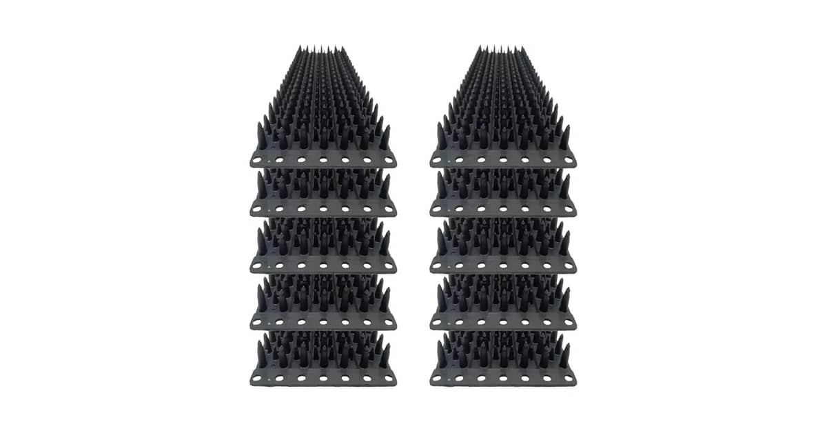 Qual É O Melhor Espanta Pombos? Guia de Métodos Eficazes