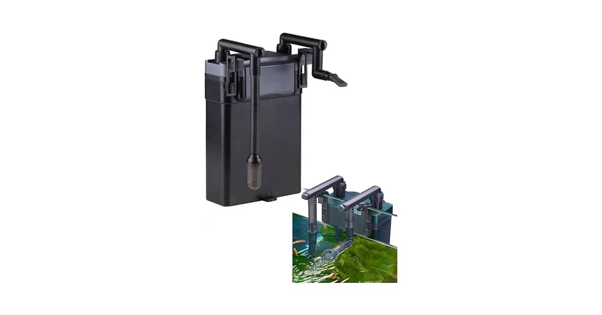 Qual é o Melhor Filtro para Aquário de Tartaruga? Interno ou Externo?