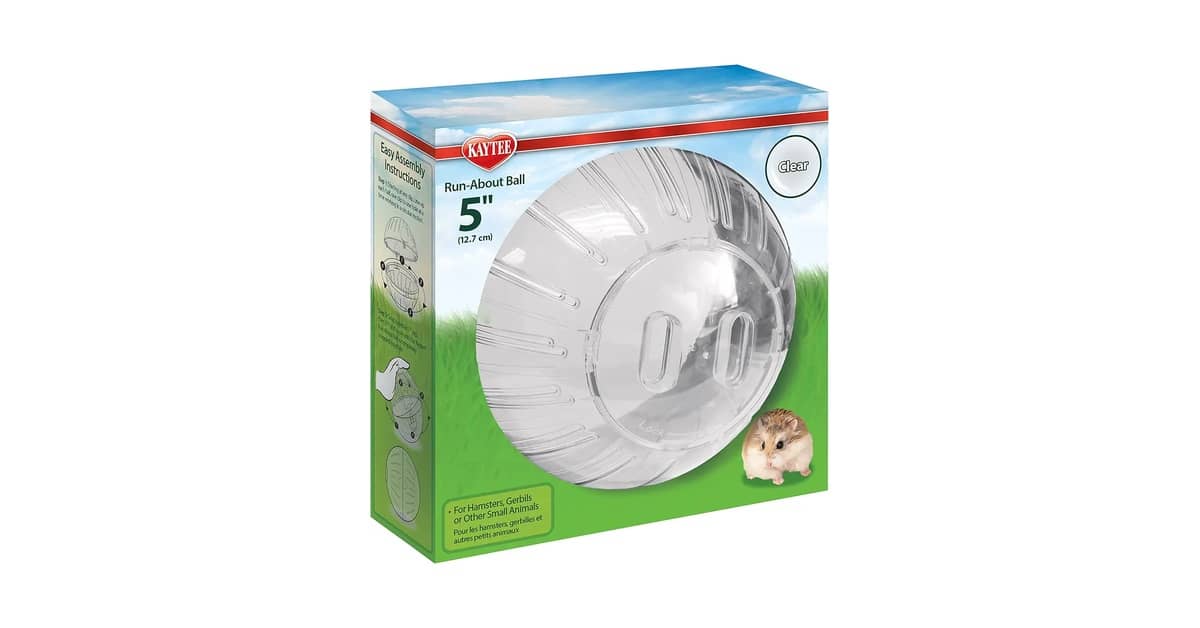 Qual É o Melhor Globo de Exercício Para Hamster? Compare 10 Modelos Seguros