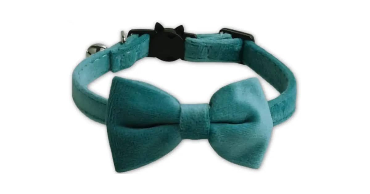 Qual É o Melhor Gravata Para Pet Para Festas e Fotos?