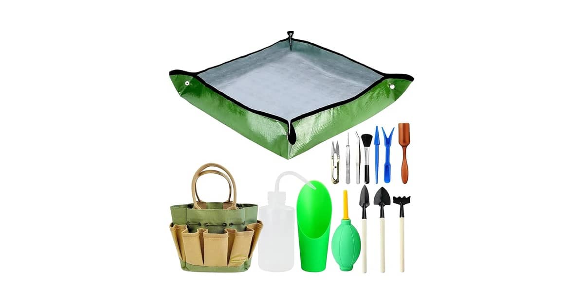Qual é o Melhor Kit de Jardinagem Para Iniciantes?