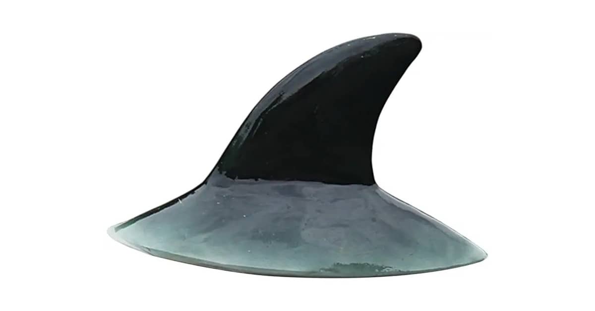 Qual É o Melhor Lago Para Patos e Gansos? O Guia