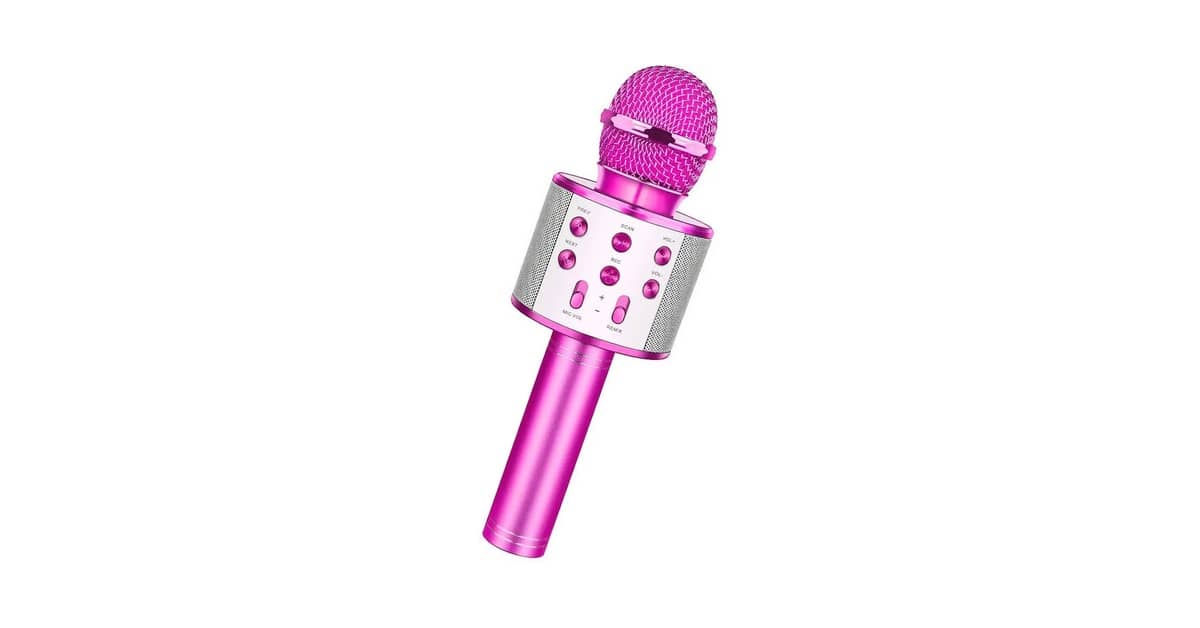 Qual É o Melhor Microfone de Karaokê Para Cada Festa?