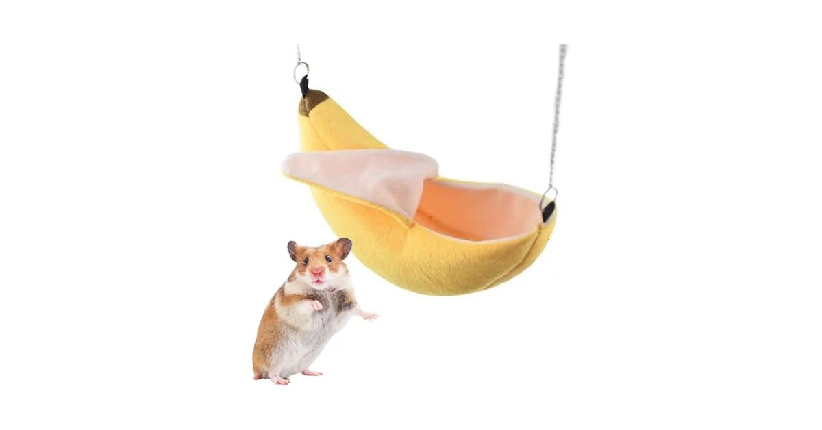 Qual é o Melhor Ninho de Algodão para Hamster? 10 Ninhos Analisados