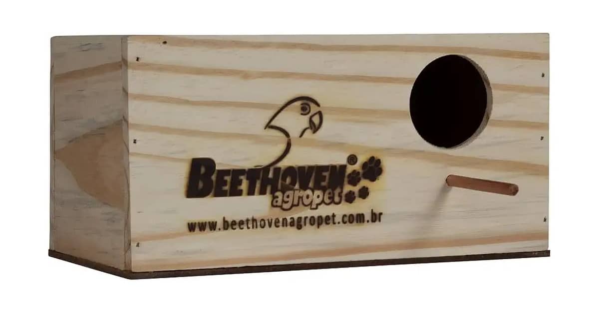 Qual É o Melhor Ninho para Calopsita? Guia de Compra