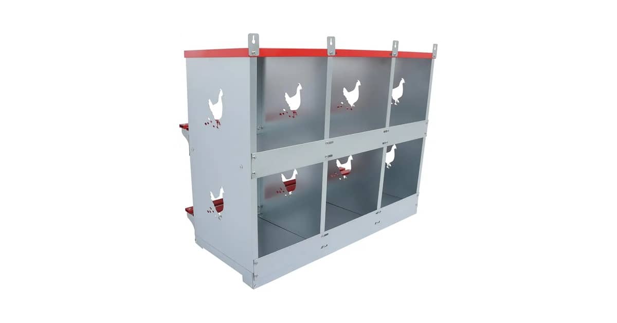 Qual É o Melhor Ninho Para Galinha? Análise de 9