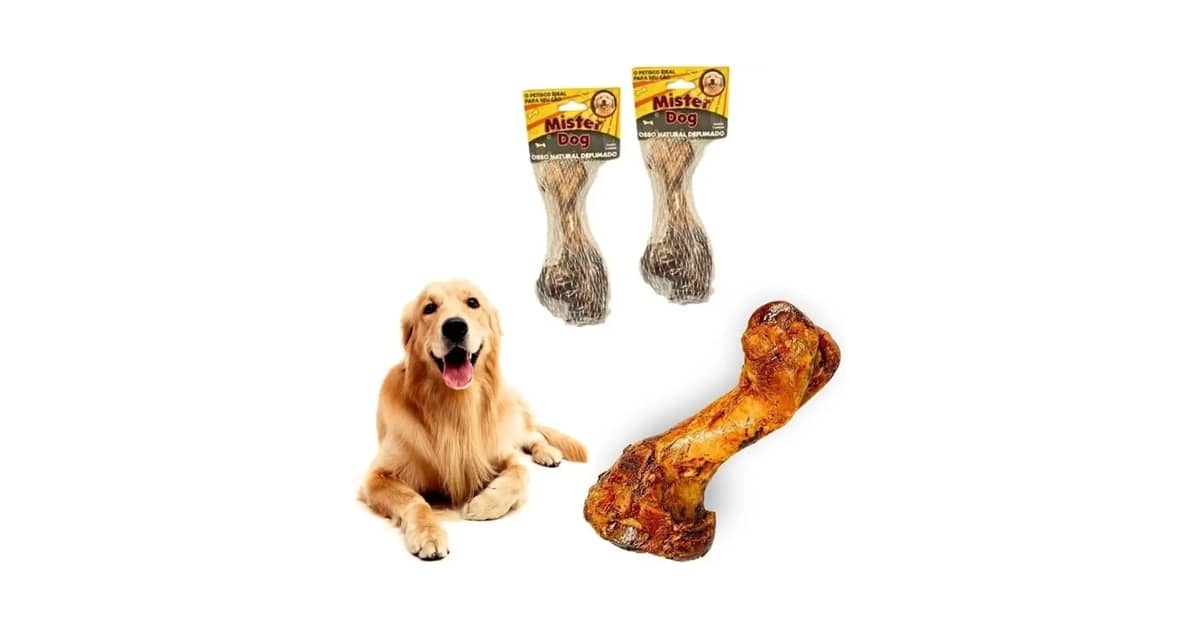 Qual É o Melhor Osso Para Cachorro Roer? Guia Seguro