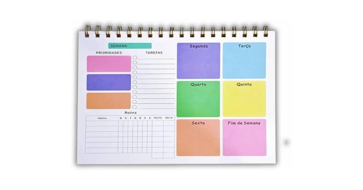 Qual é o Melhor Planner Para Organização Pessoal?