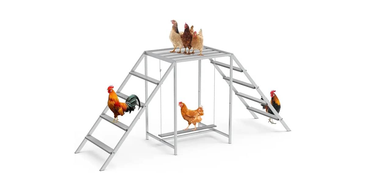 Qual É o Melhor Poleiro Para Galinheiro? Guia de Compra