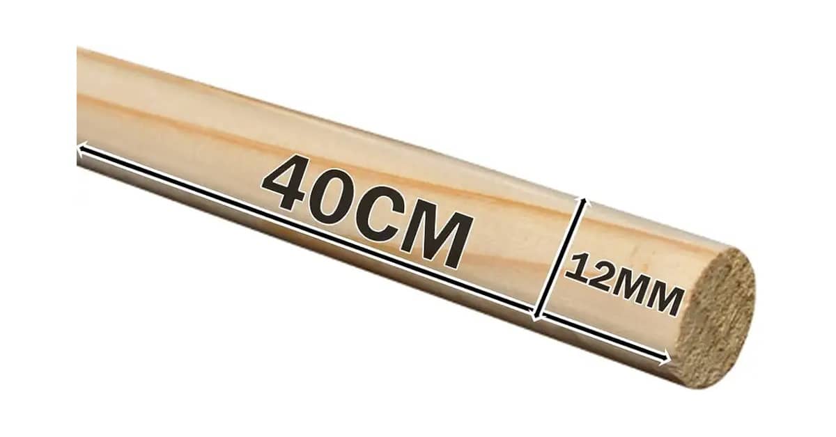 Qual é o Melhor Poleiro para Pássaro? Guia de Saúde