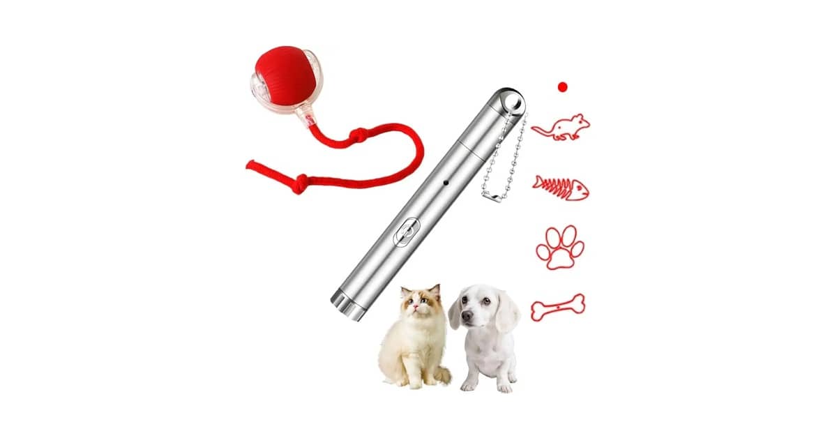Qual É o Melhor Ponteiro de Laser Para Gato? Manual ou Automático?