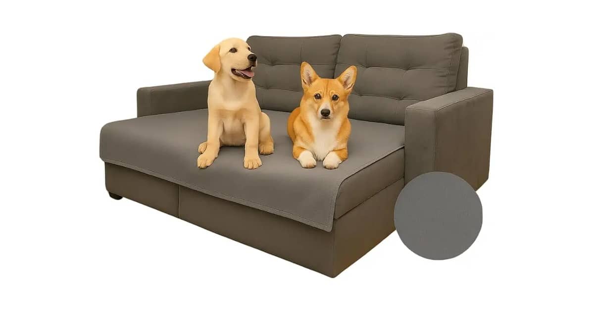 Qual É o Melhor Protetor de Sofá Para Quem Tem Animais de Estimação?