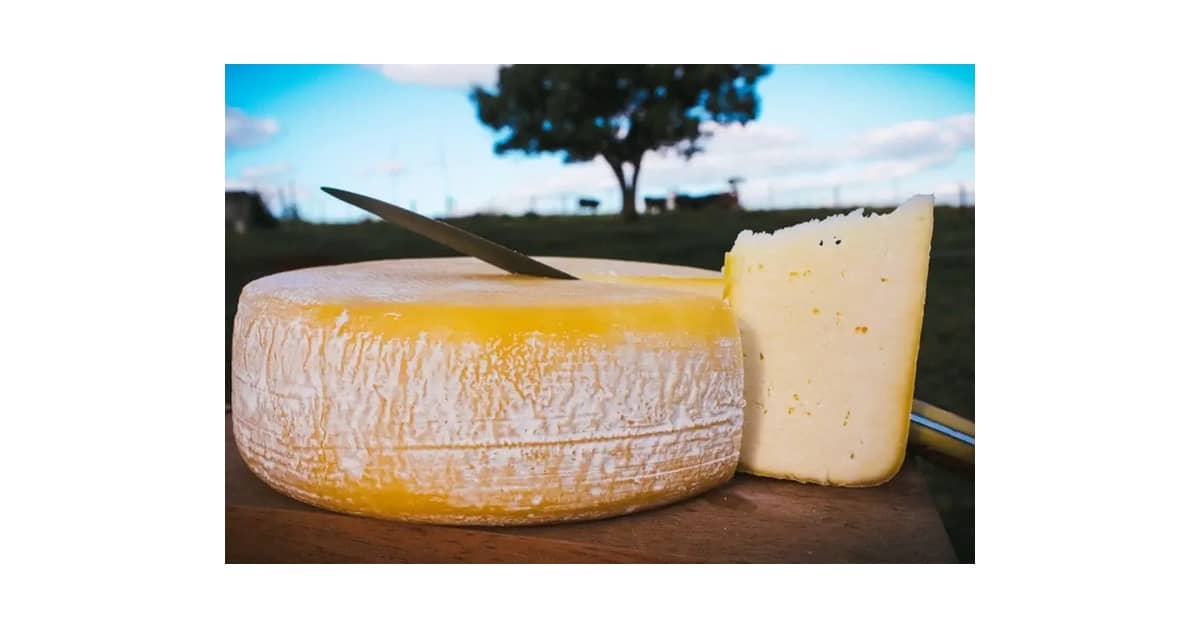 Qual É o Melhor Queijo de Minas: Guia de Sabores