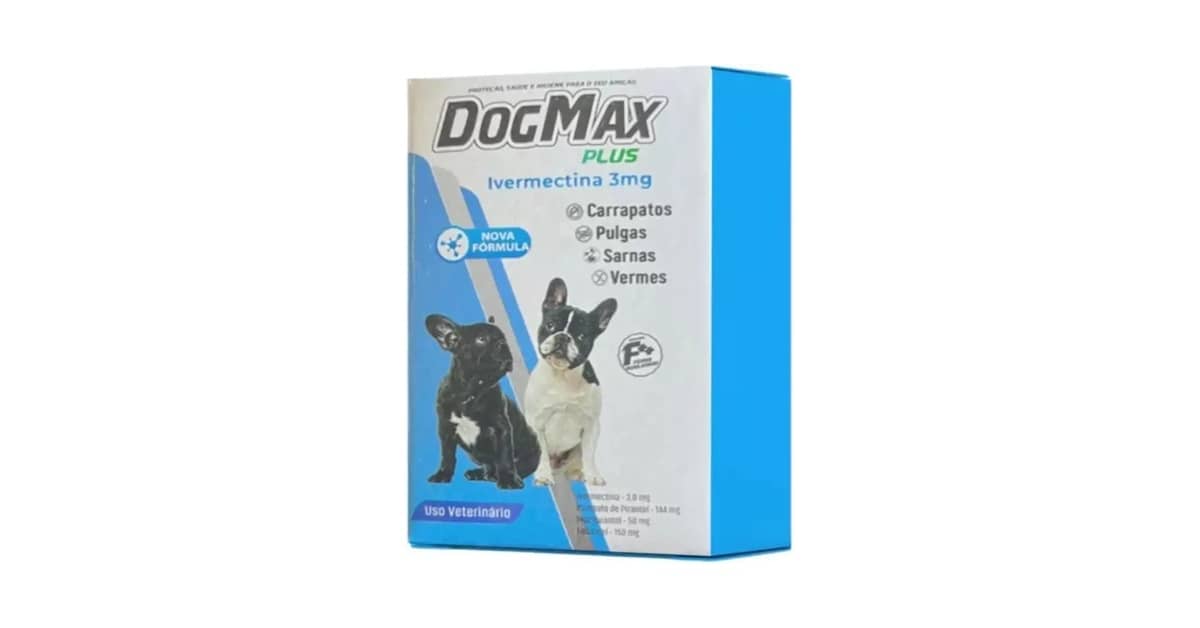 Qual É o Melhor Remédio Para Sarna de Cachorro? Top 10