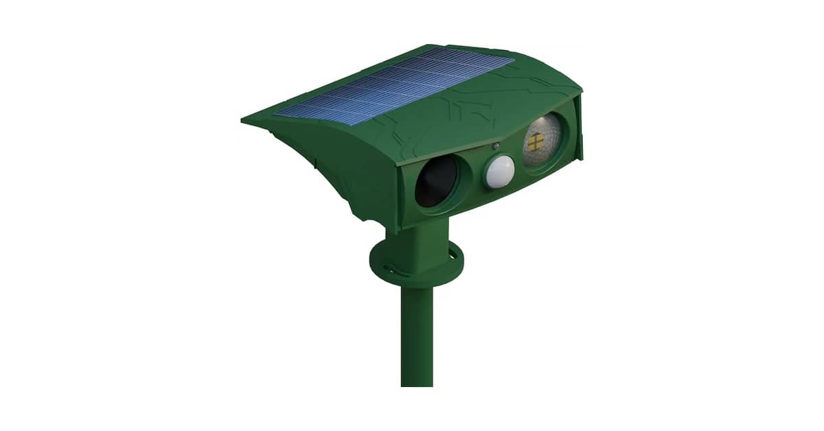 Qual É o Melhor Repelente de Gatos para Jardim? Guia