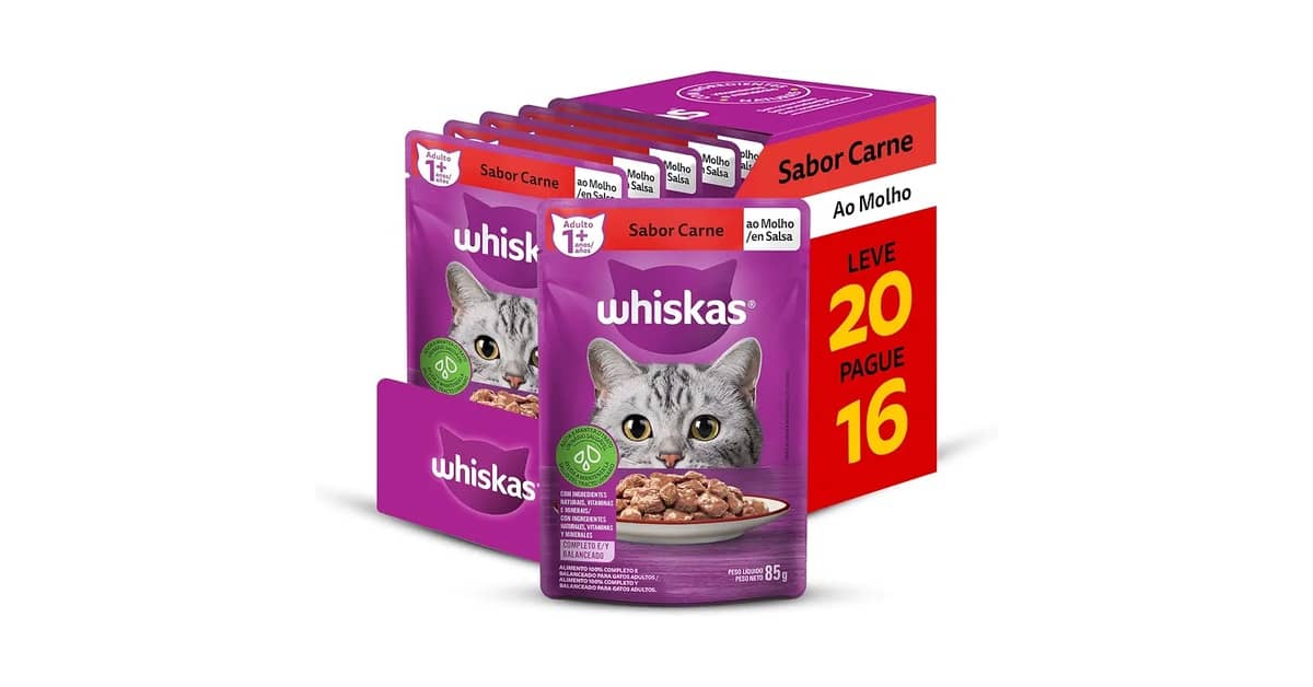 Qual é o Melhor Sache de Gato? Guia Para Cada Fase