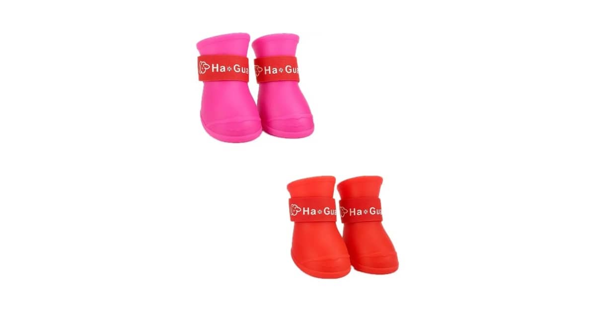 Qual É o Melhor Sapatinho Para Cachorro Para Proteger as Patas: Silicone vs Tecido?