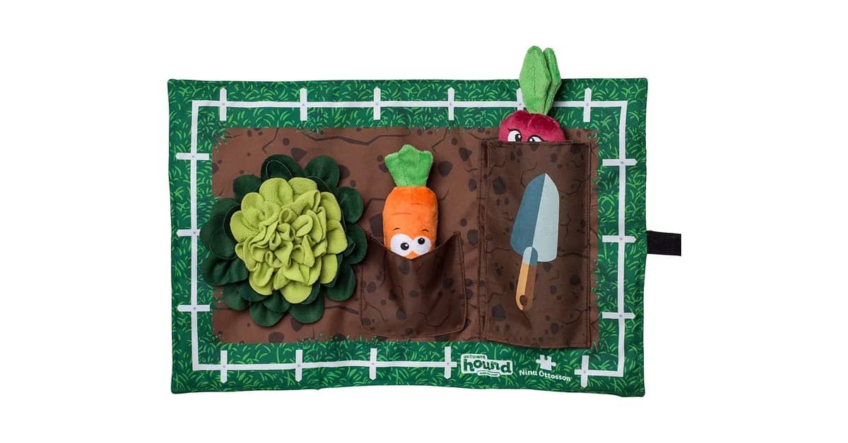 Qual É o Melhor Tapete de Atividades Para Filhote de Cachorro: Fuçar ou Puzzle?