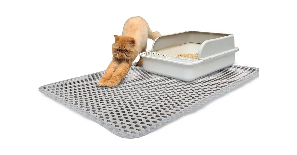 Qual é o Melhor Tapete Para Caixa de Areia de Gato?