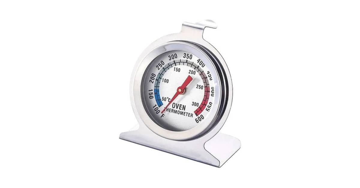 Qual é o Melhor Termômetro para Churrasqueira? Guia