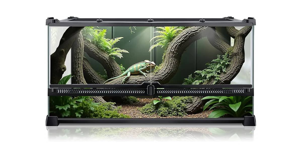 Qual é o Melhor Terrário para Cobra? Os 10 Melhores