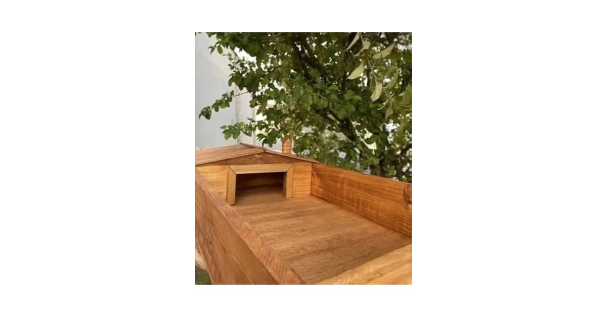 Qual É o Melhor Terrário Para Jabuti? Guia de Compra