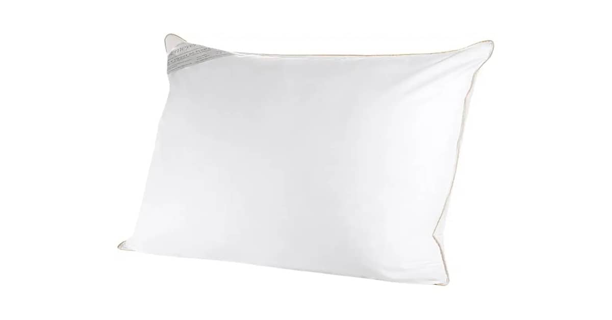 Qual É o Melhor Travesseiro de Plumas? Pena x Pluma