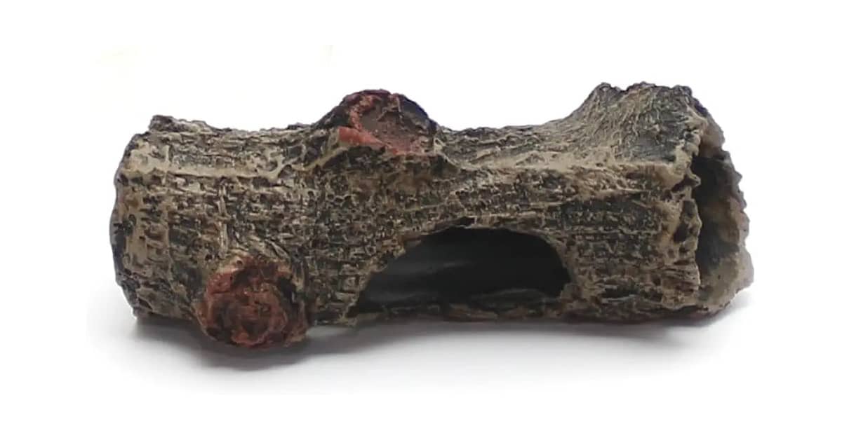 Qual é o Melhor Tronco Para Aquário? Natural vs Resina