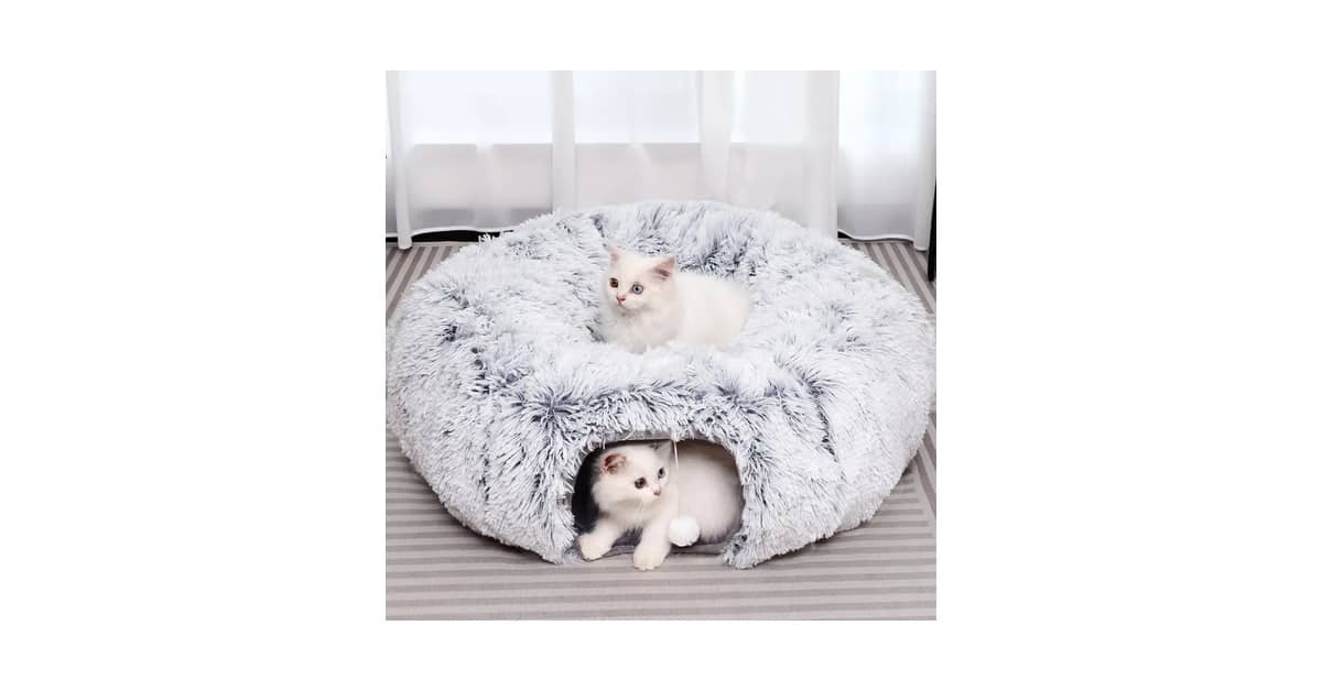 Qual é o Melhor Túnel de Tecido Para Gatos Brincarem? Guia com 10 Tipos