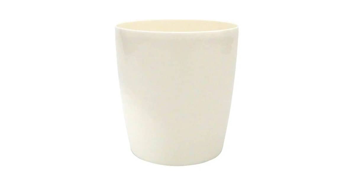 Qual É o Melhor Vaso para Orquidea? Guia Completo