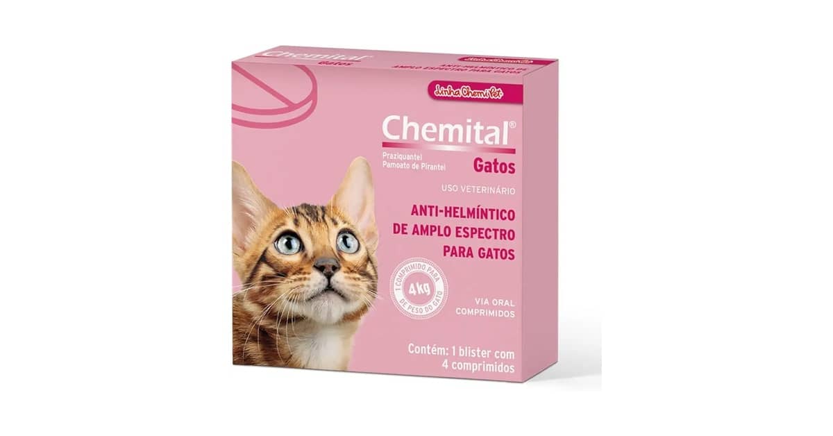 Qual é o Melhor Vermifugo Para Gato? Pipeta ou Comprimido