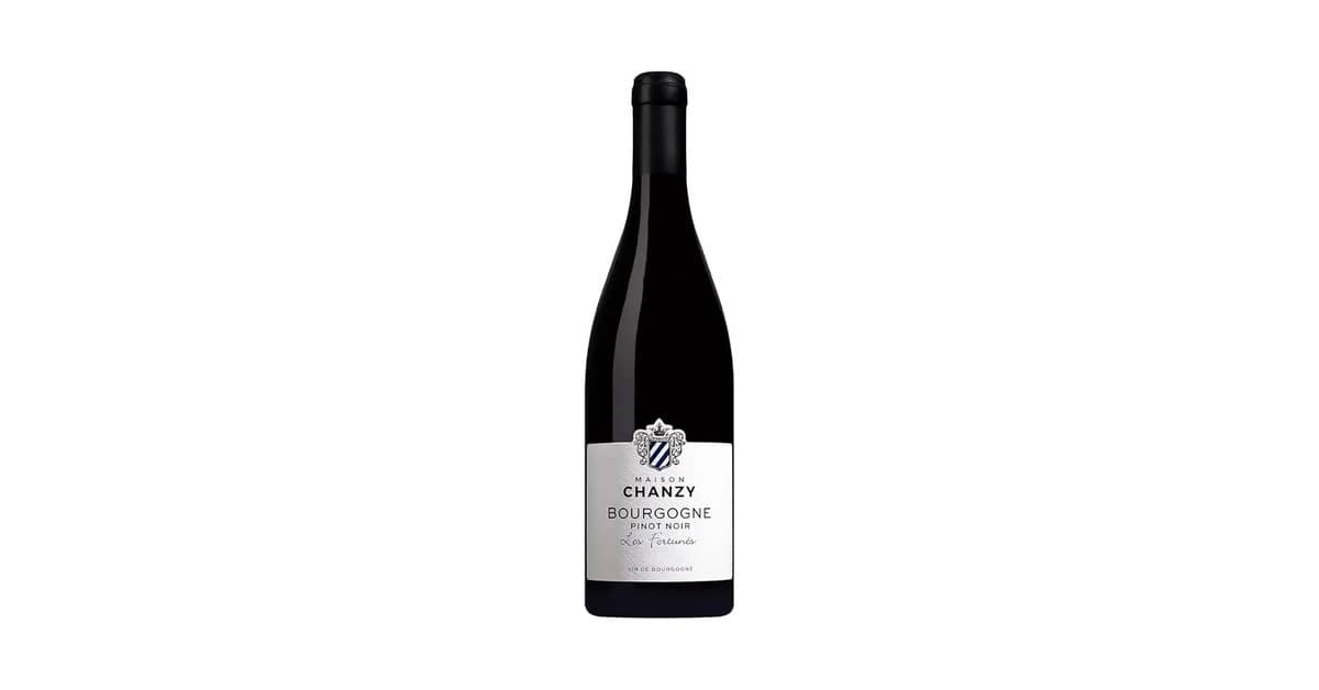 Qual É o Melhor Vinho Pinot Noir da Borgonha?