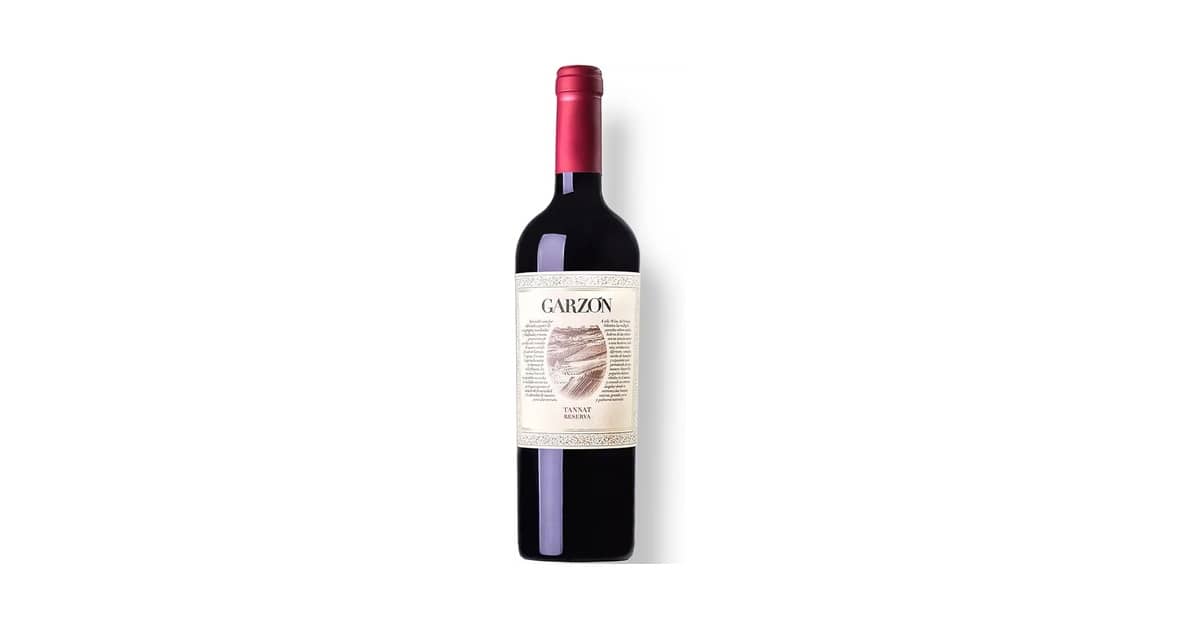 Qual é o Melhor Vinho Tannat Uruguaio? Análise de 10