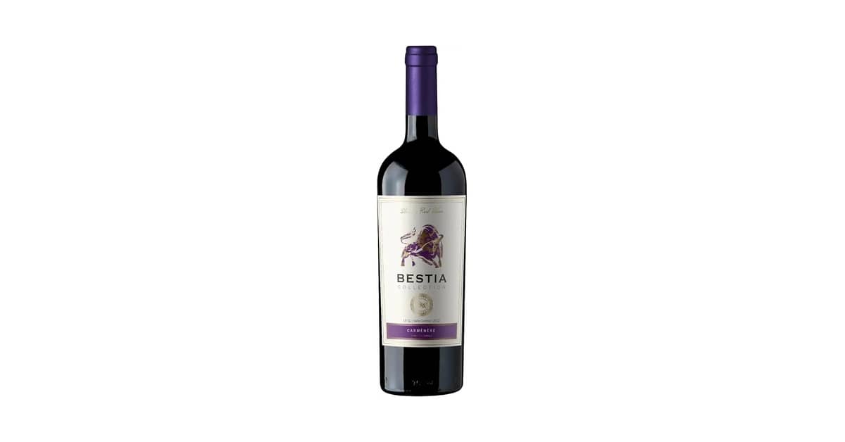 Qual É o Melhor Vinho Tinto Seco Encorpado? Top 10
