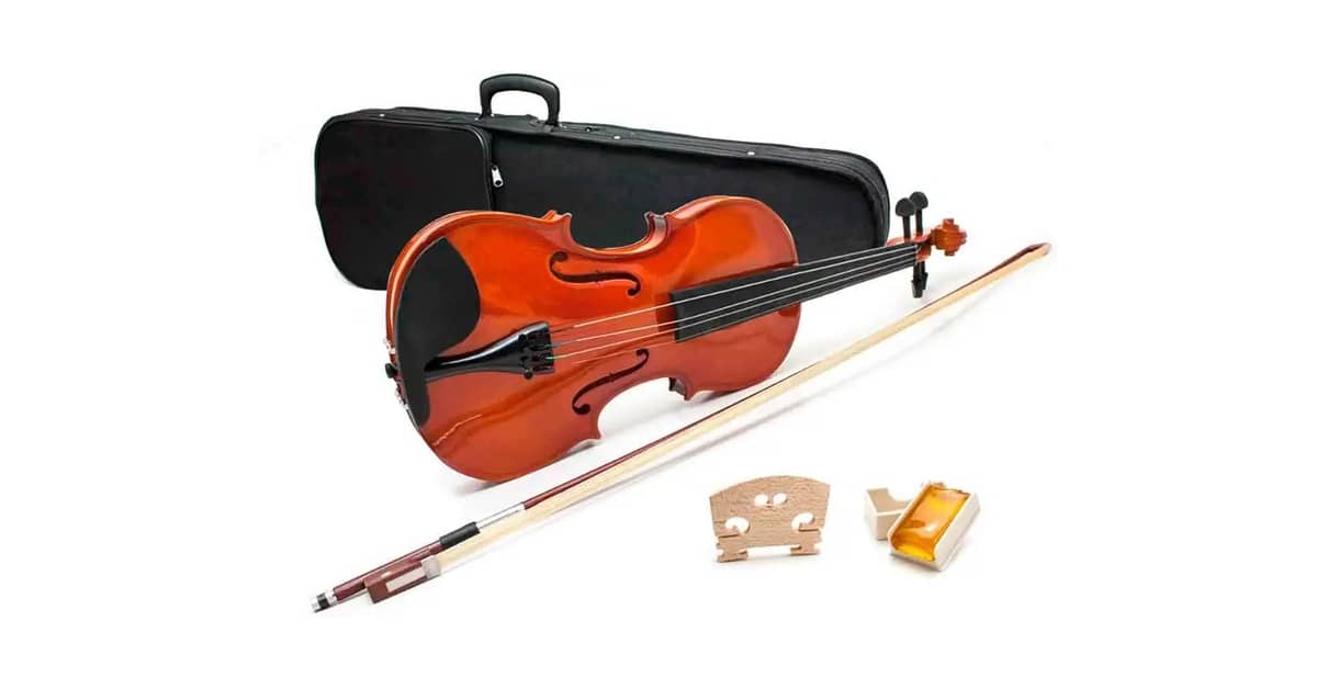 Qual é o Melhor Violino Barato e Bom? Top 10 Modelos