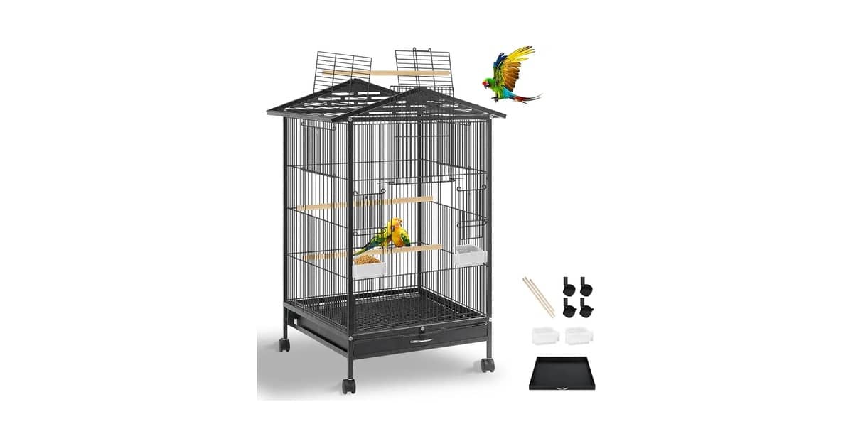 Qual é o Melhor Viveiro Para Calopsita: 10 Modelos