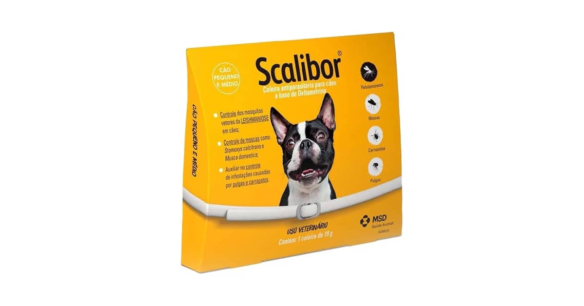 Qual Melhor Coleira Antipulgas? 10 Opções Eficazes