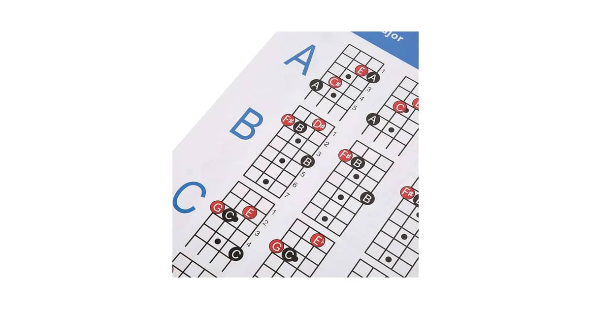 Qual Melhor Tipo de Baixo para iniciantes? Guia Essencial