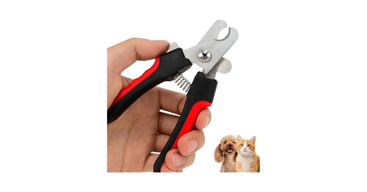 Qual o Melhor Alicate para Cortar Unha de Gato: Guia Essencial