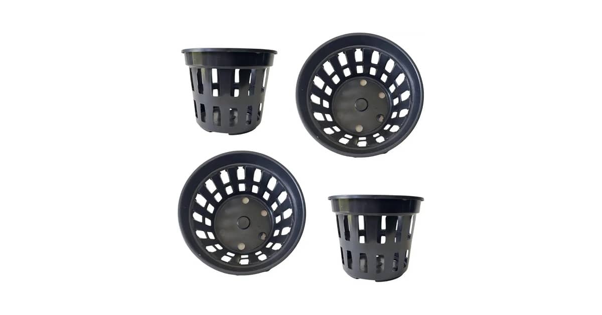 Qual o Melhor Vaso para se Plantar Zamioculca: Drenagem e Tamanho Ideais