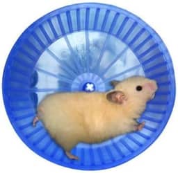Mr Pet Roda Hamster de Plástico, Cores sortidas
