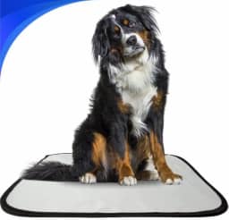 Kit 3 tapete higiênico lavável para cachorro, GG, 100 x90cm, sanitário pets , reutilizável,