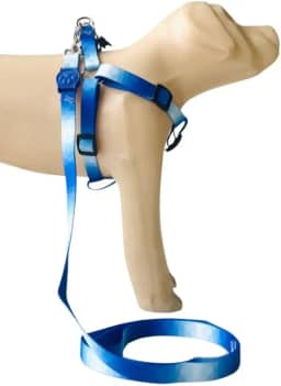 Conjunto Peitoral Coleira com Guia para Cachorros com Pingente para Identificação PP, Tamanho Ajustável, Confortável e Resistente