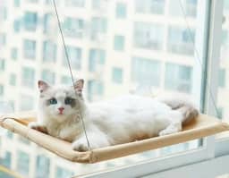 cama suspensa DE JANELA CAMINHA para gatos com ventosas janelas rede sacada pet cat