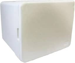 Caixa Isopor Entrega Delivery Motoboy Pizza,lanche 45 Litros Bag Cozinha de Acampamento Refrigeradores Coolers e Bolsas Térmicas