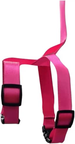 Guia E Peitoral Para Papagaio