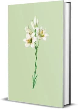 Bíblia Sagrada NVI - Lírios: Capa dura