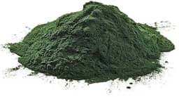 Chorella Clorela em Pó 100g Wenutri